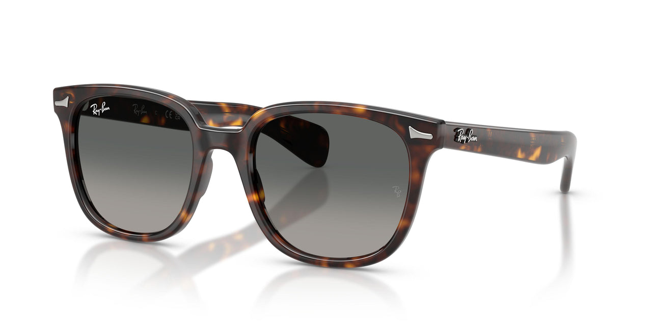 Ray-Ban Brunel Ii 2235 Sunglasses