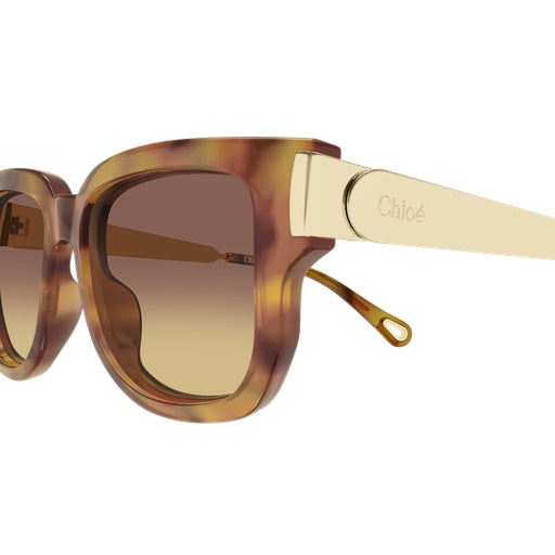 002 - Havana/Gold - Brown