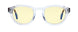 08701 - Crystal Tortoise - Amber