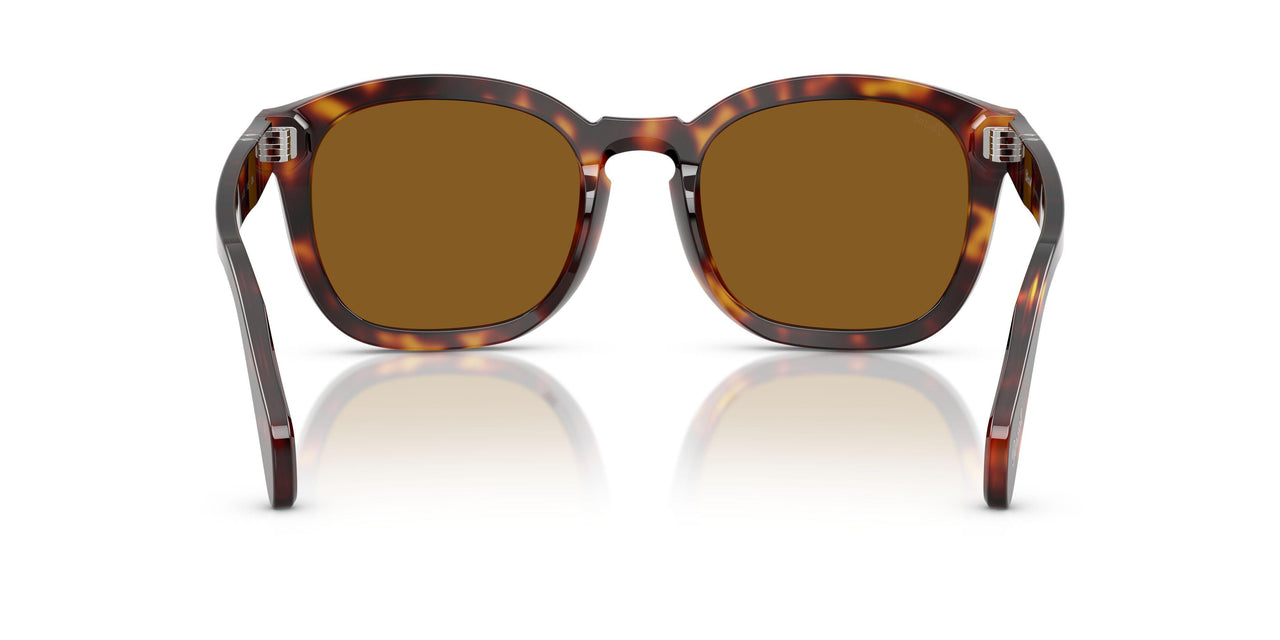 24/33 - Tortoise - Brown