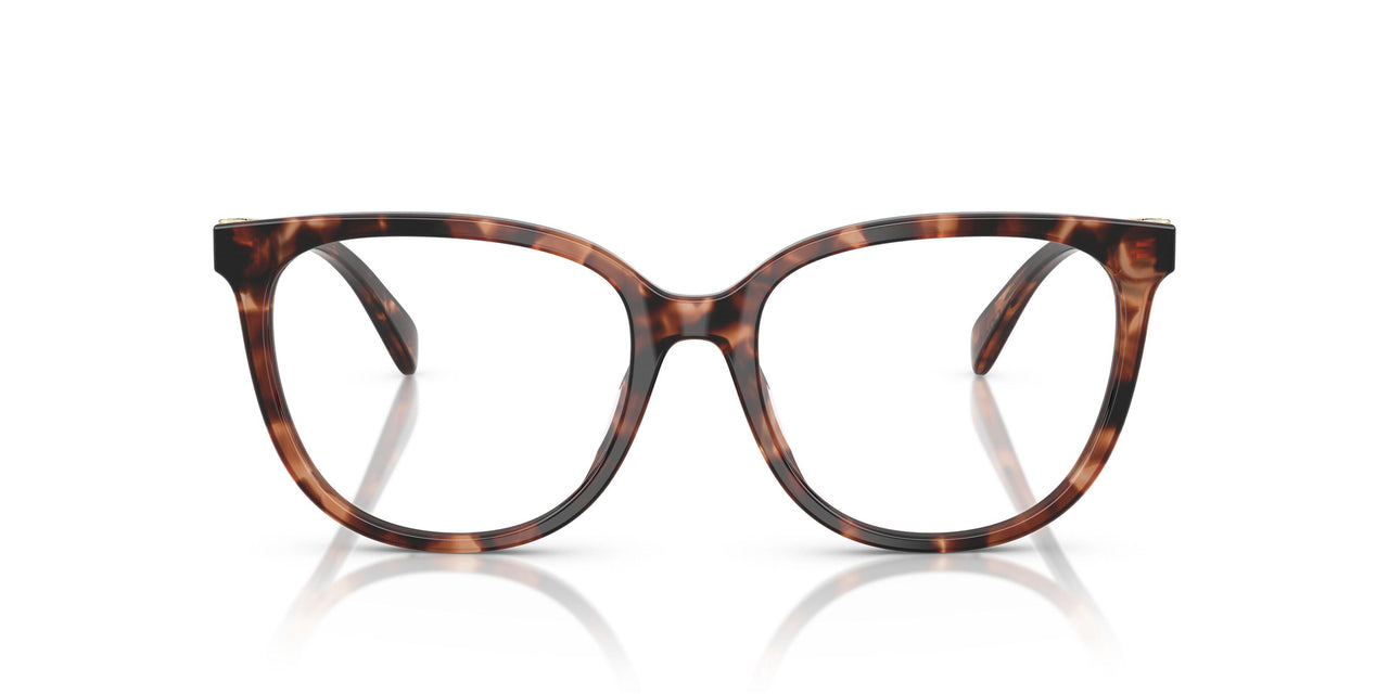 5590 - Orange