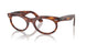 2144 - Brown - Clear
