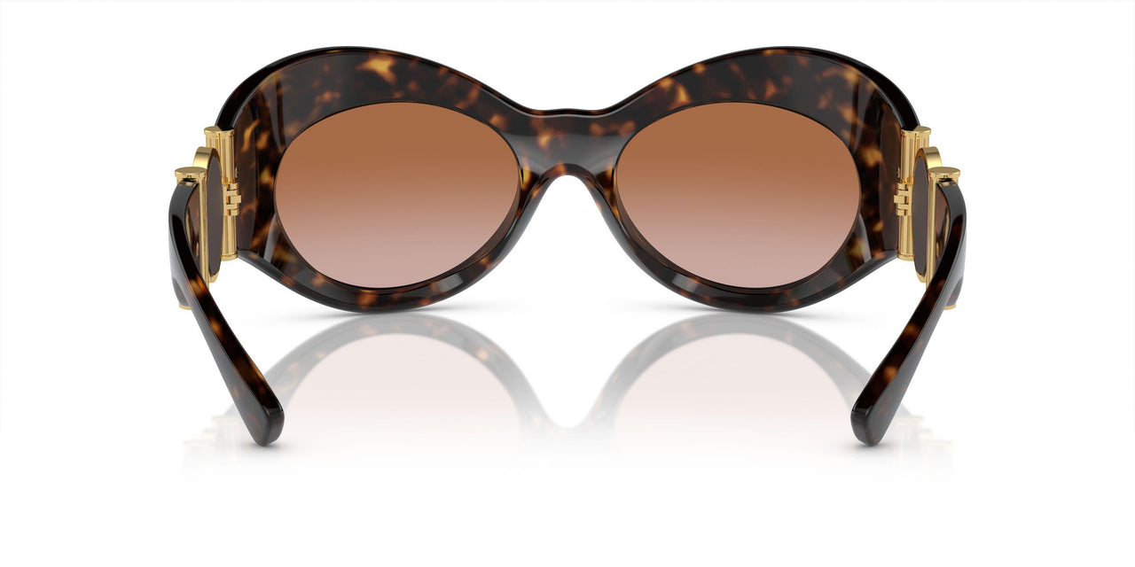 108/13 - Tortoise - Brown Gradient