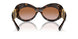 108/13 - Tortoise - Brown Gradient