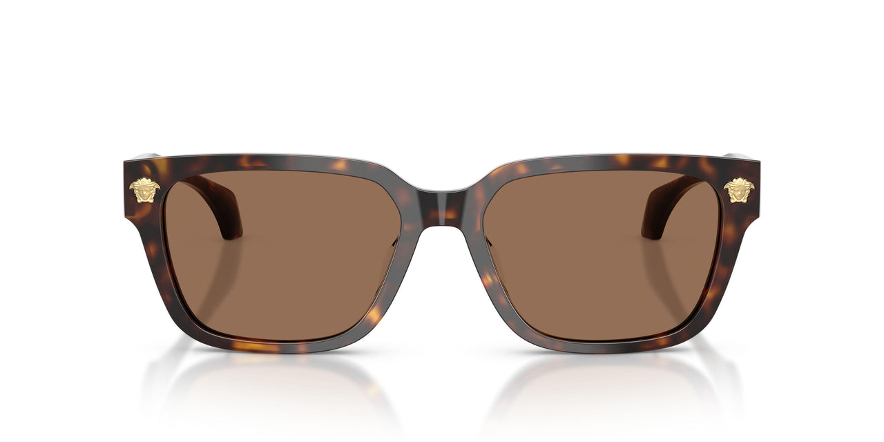 108/73 - Tortoise - Dark Brown