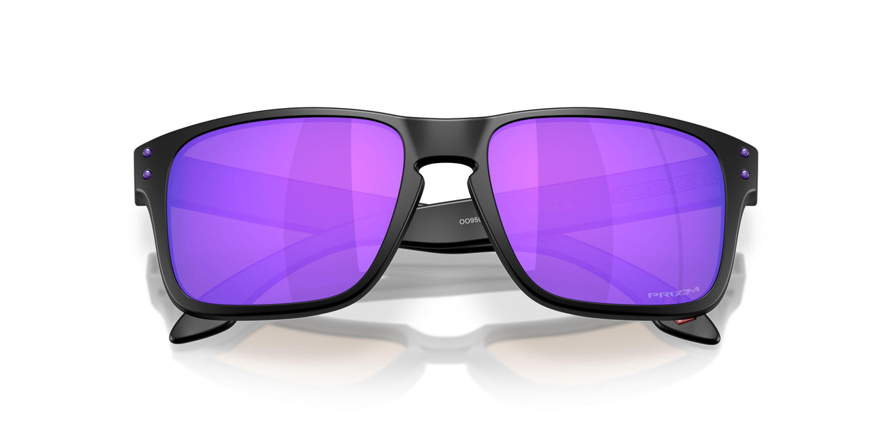 950906 - Black - Prizm Violet