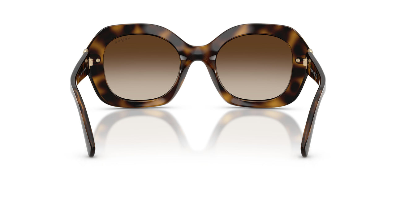 W65613 - Brown - Gradient Brown