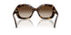W65613 - Brown - Gradient Brown