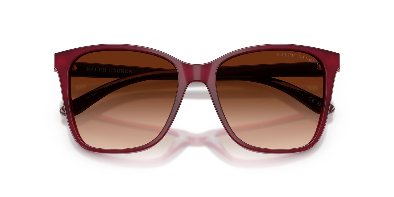 591274 - Violet - Gradient Brown