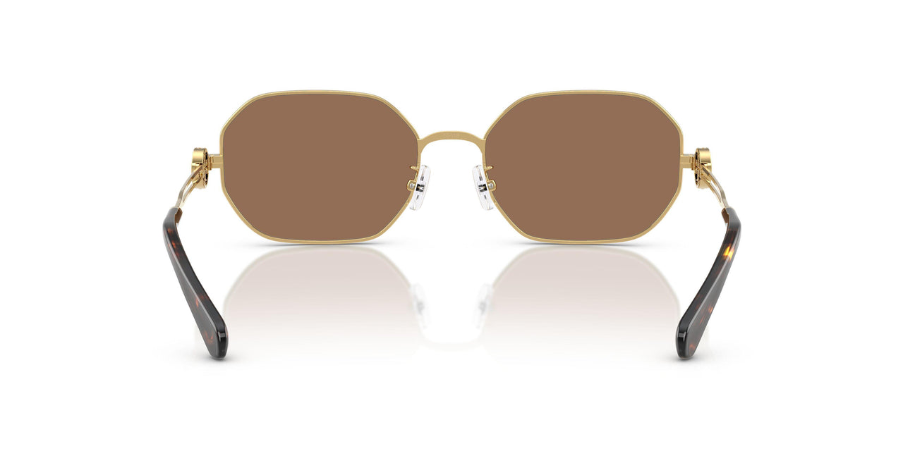334373 - Gold - Dark Brown