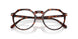 24/GG - Havana - Transitions 8 Sapphire