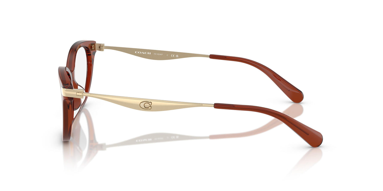 5847 - Brown