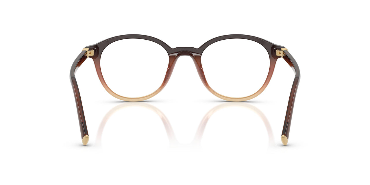 24C1O1 - Brown