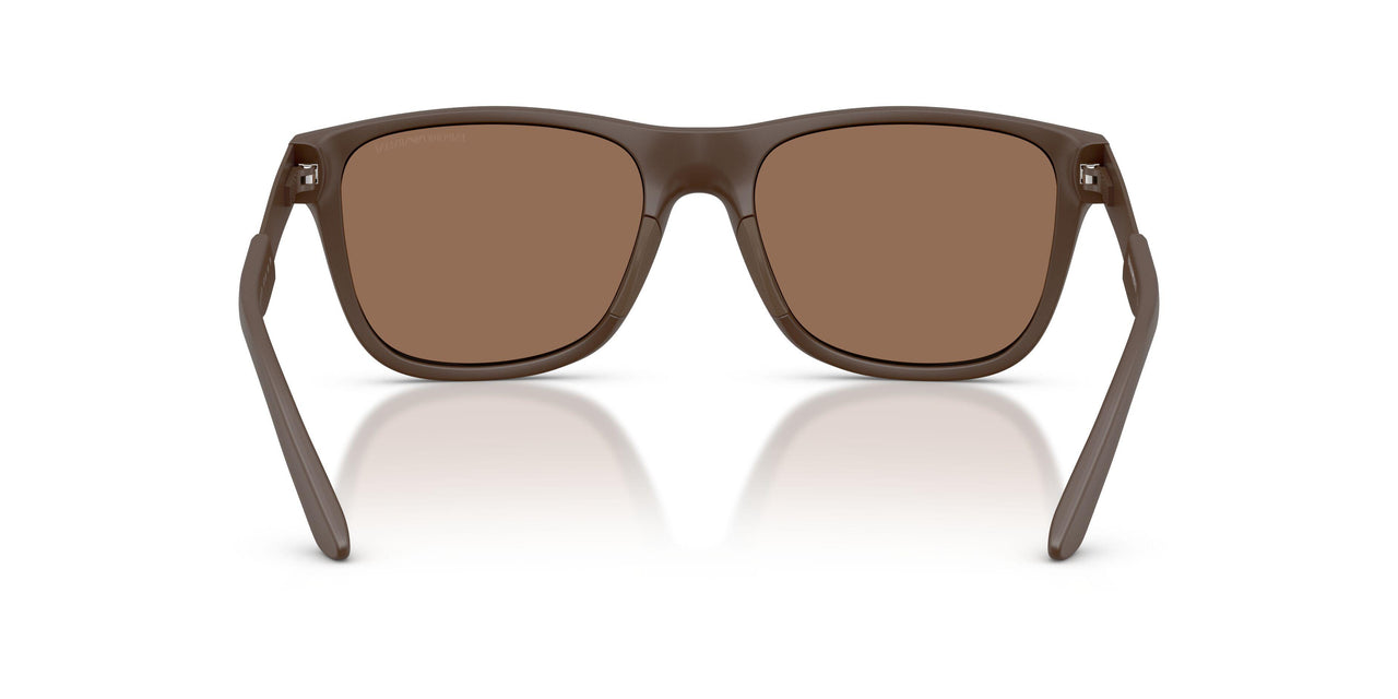 624373 - Brown - Dark Brown