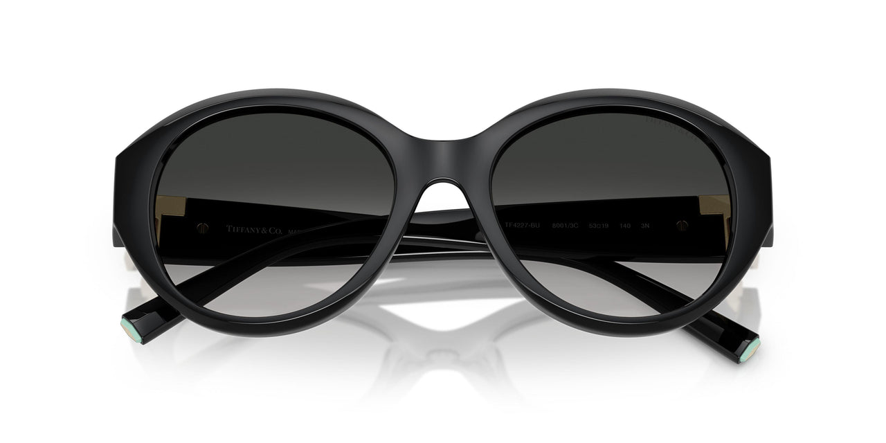 80013C - Black - Grey Gradient