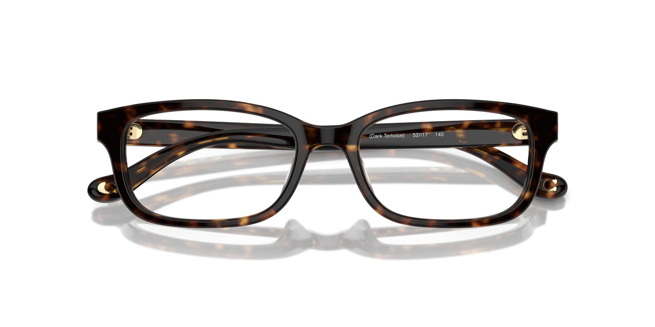 5120 - Tortoise