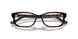 5120 - Tortoise