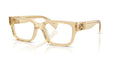 11T1O1 - Brown