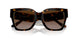 172813 - Havana - Brown Gradient