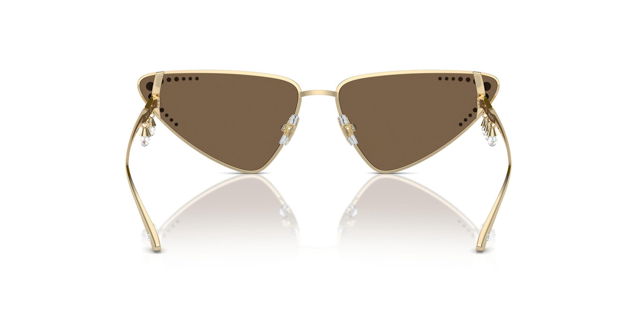 300673 - Gold - Dark Brown
