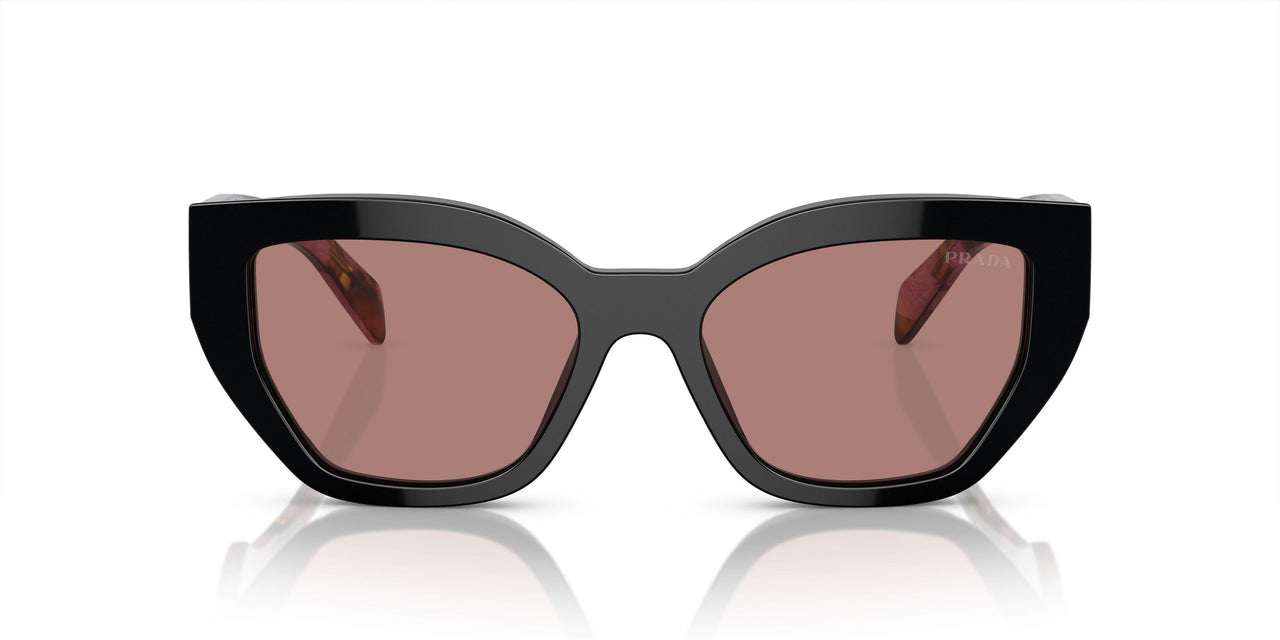 12O10D - Violet - Light Brown
