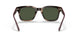 573431 - Brown - Green