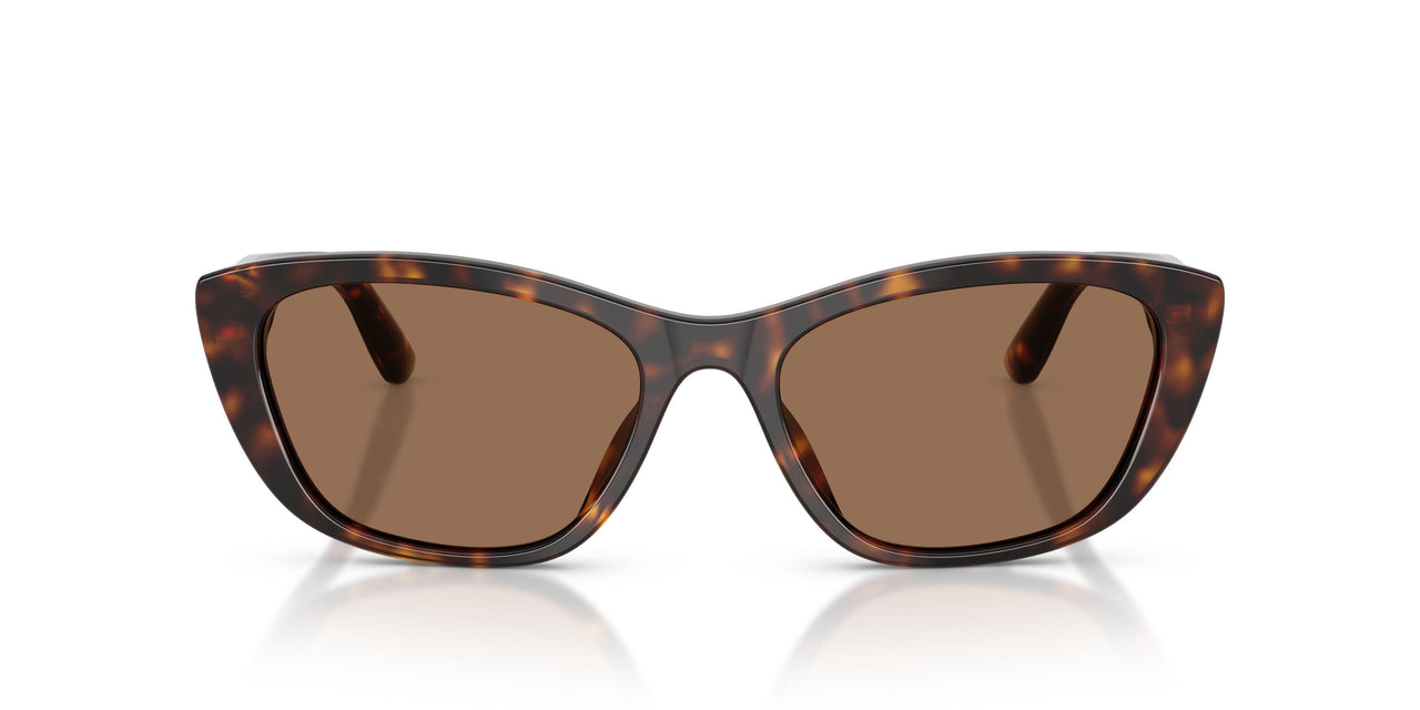 502/73 - Tortoise - Dark Brown