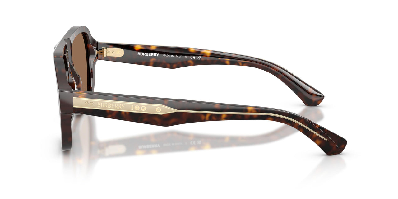 420573 - Brown - Dark Brown