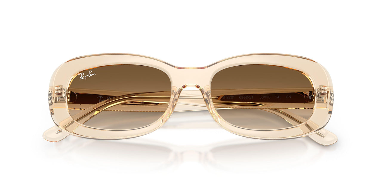 690251 - Pink - Clear Gradient Brown