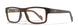 WSEPC04 - Matte Hickory Brown Frame - Clear