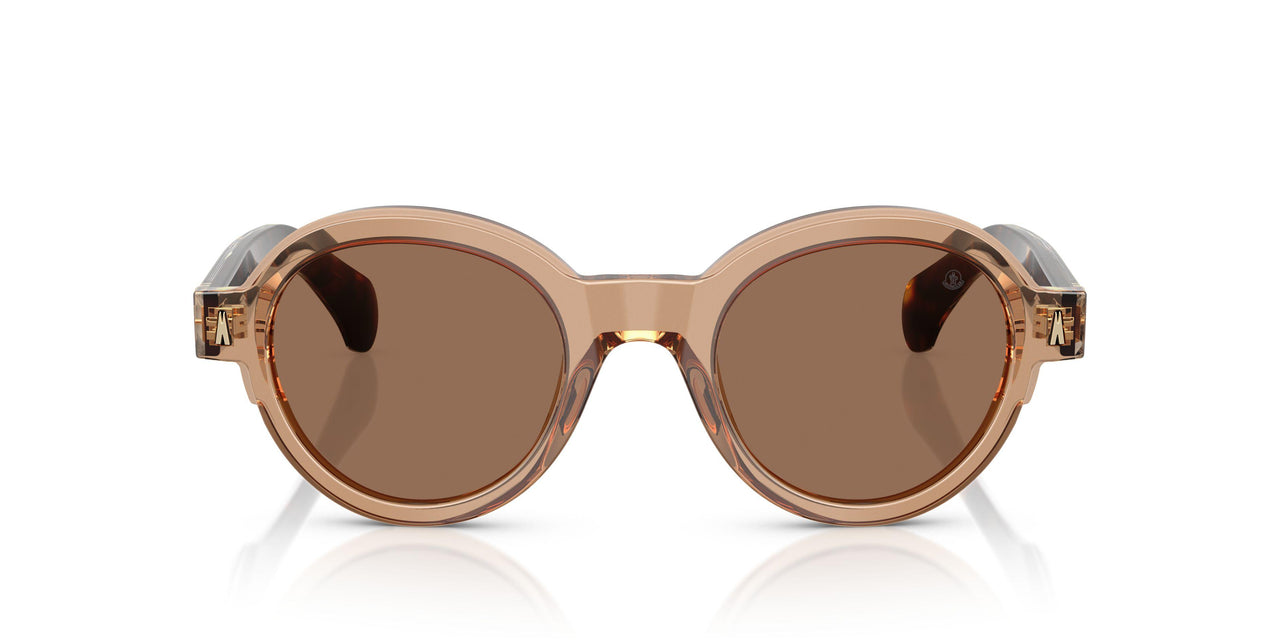 303773 - Brown - Dark Brown