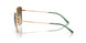5152E8 - Gold - Green Gradient Dark Brown