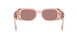 19Q10D - Orange - Light Brown