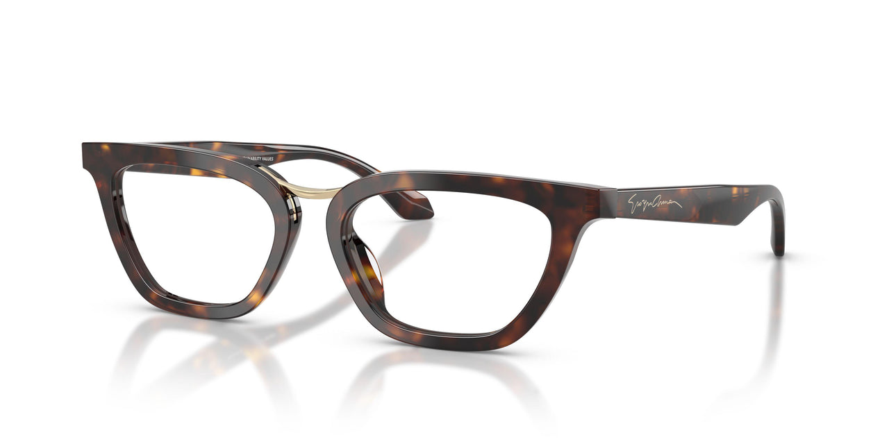 6124 - Tortoise
