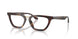 6124 - Tortoise