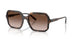238613 - Brown - Gradient Brown