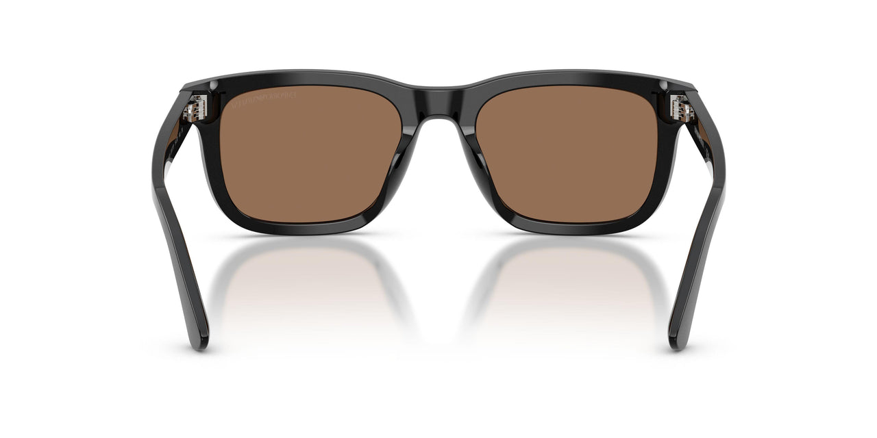 501773 - Black - Dark Brown