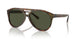 501731 - Tortoise - Green