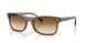 664051 - Brown - Clear Gradient Brown