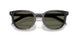 17N03R - Tortoise - Green Polar