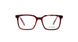 Divaldi DVO8176 Eyeglasses