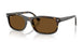 710/57 - Tortoise - Polar Brown