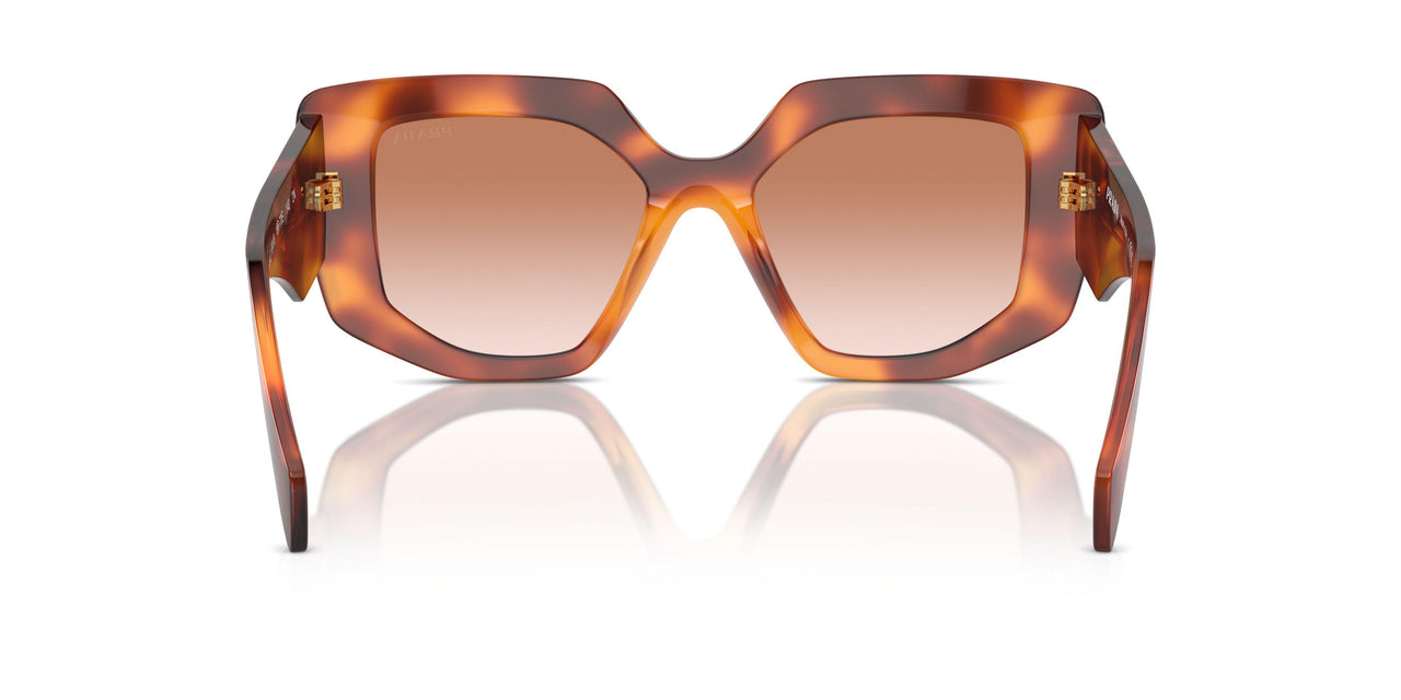 18R70E - Brown - Brown Gradient