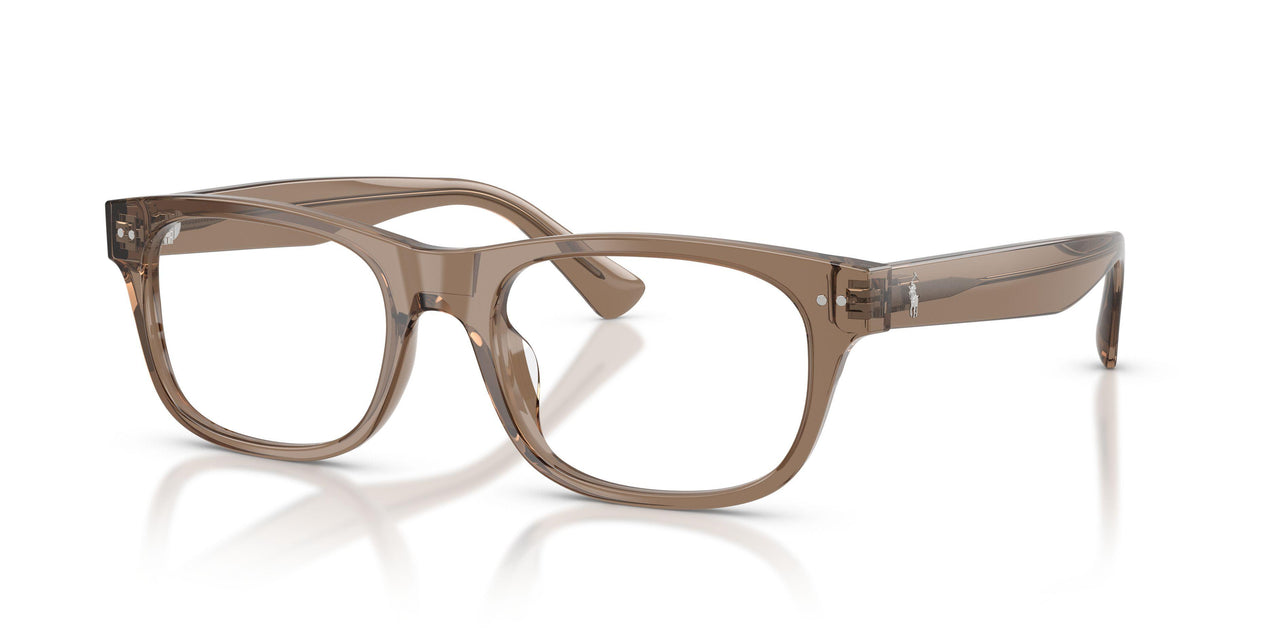 Polo 2317F Eyeglasses
