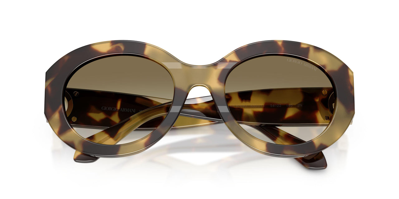 630113 - Tortoise - Brown Gradient