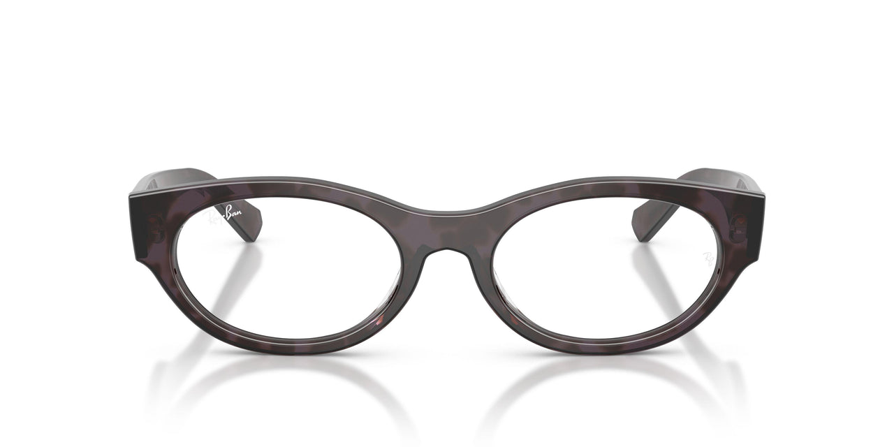 8461 - Tortoise - Clear