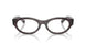 8461 - Tortoise - Clear