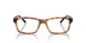 2770 - Brown