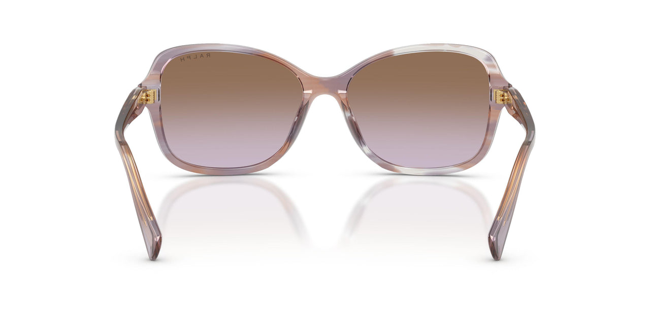 634068 - Tortoise - Gradient Violet