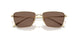 301373 - Gold - Dark Brown